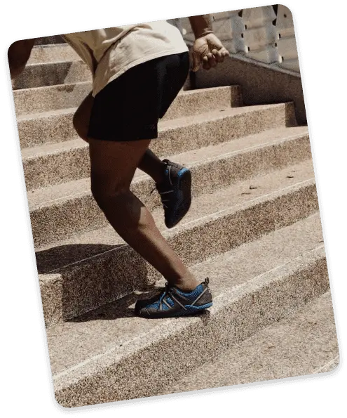The Quad success story