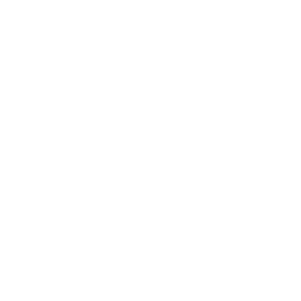 Support.webp